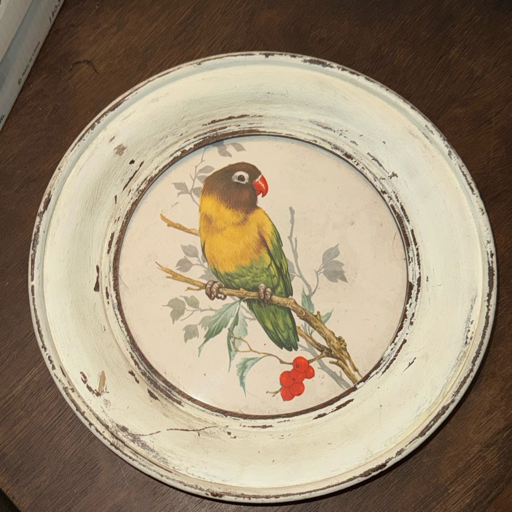 Cute Bird Print Picture